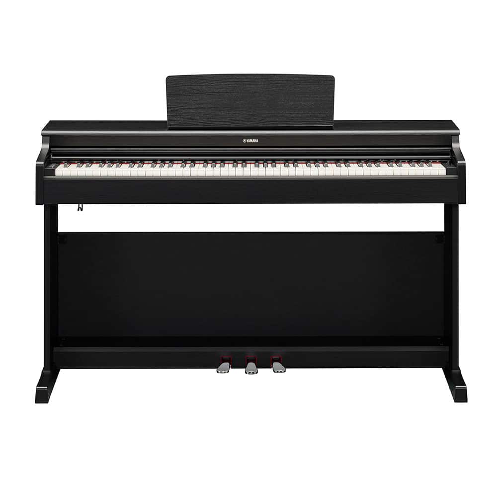 YDP165B_2